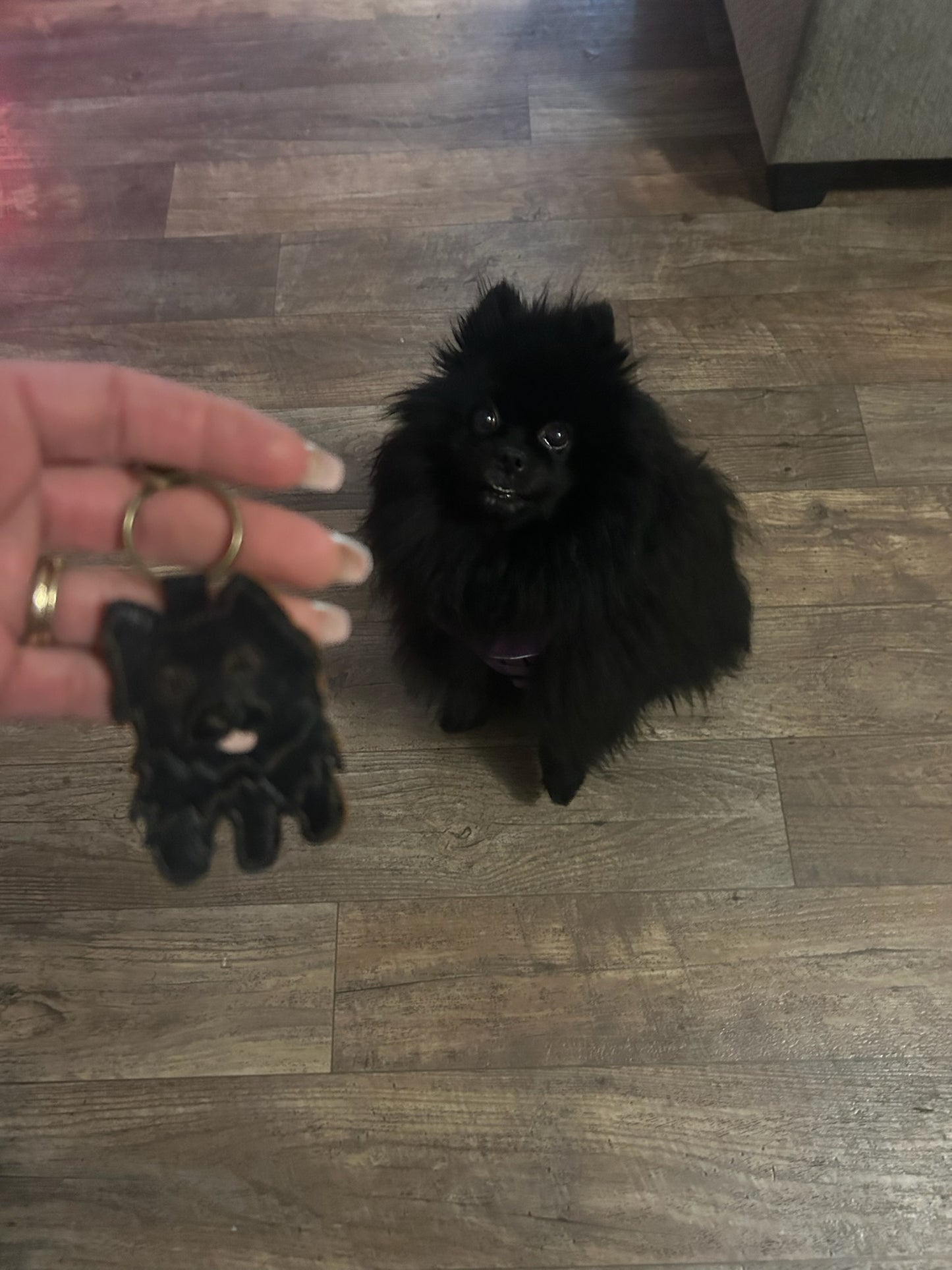 Leather Pet Keychains/Ornaments